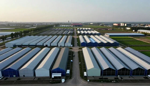 本地生活小程序开发中的性能优化与适用场景解析